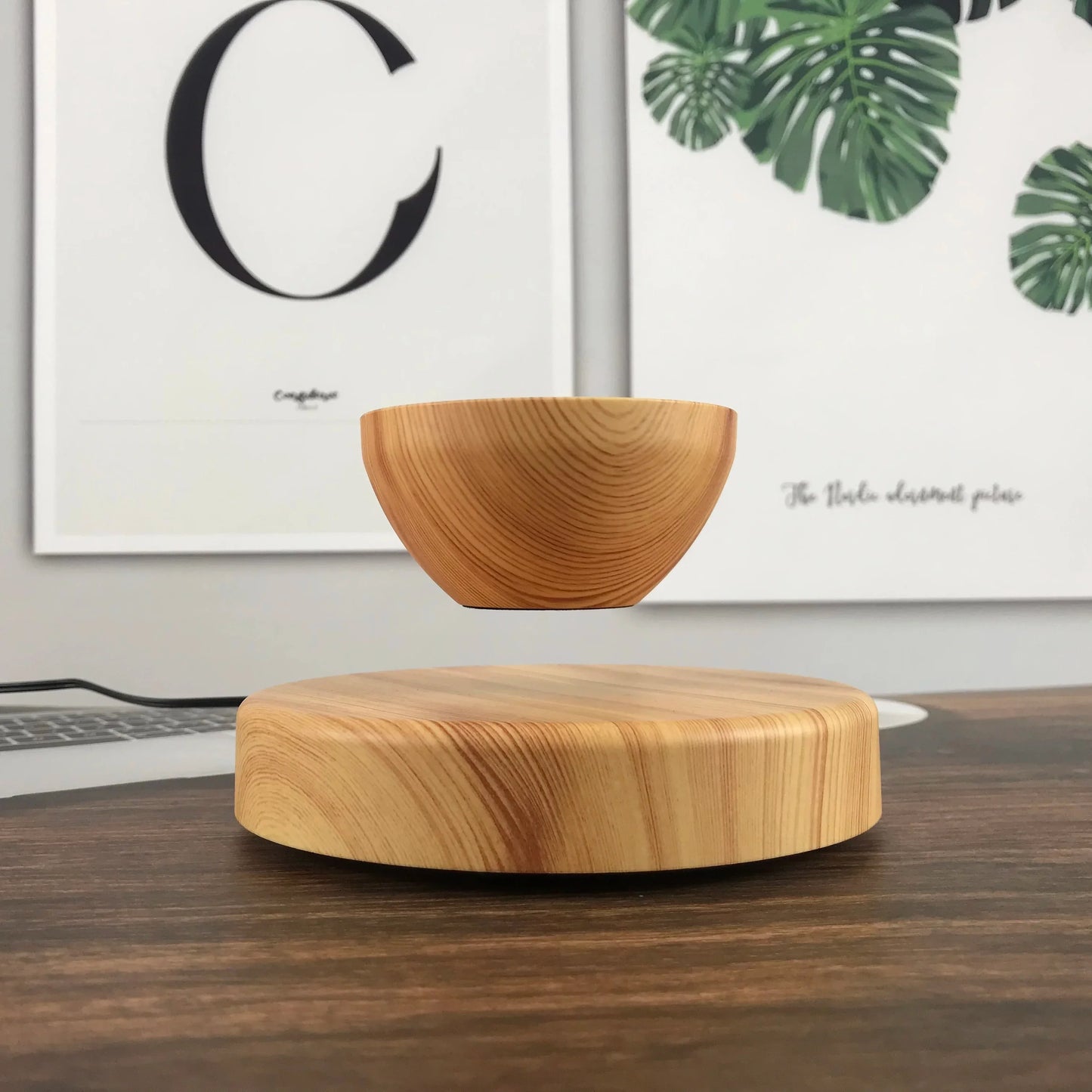 Levitating Flower Pot